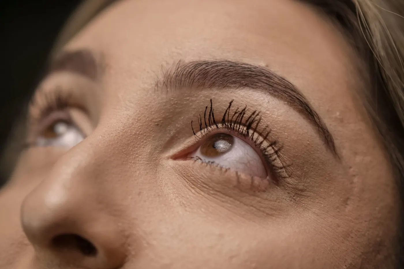 Close-up of lifted lashes after the treatment