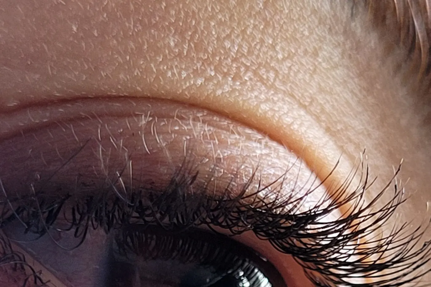 Close-up of an eye with well-kept lashes a few days after the treatment